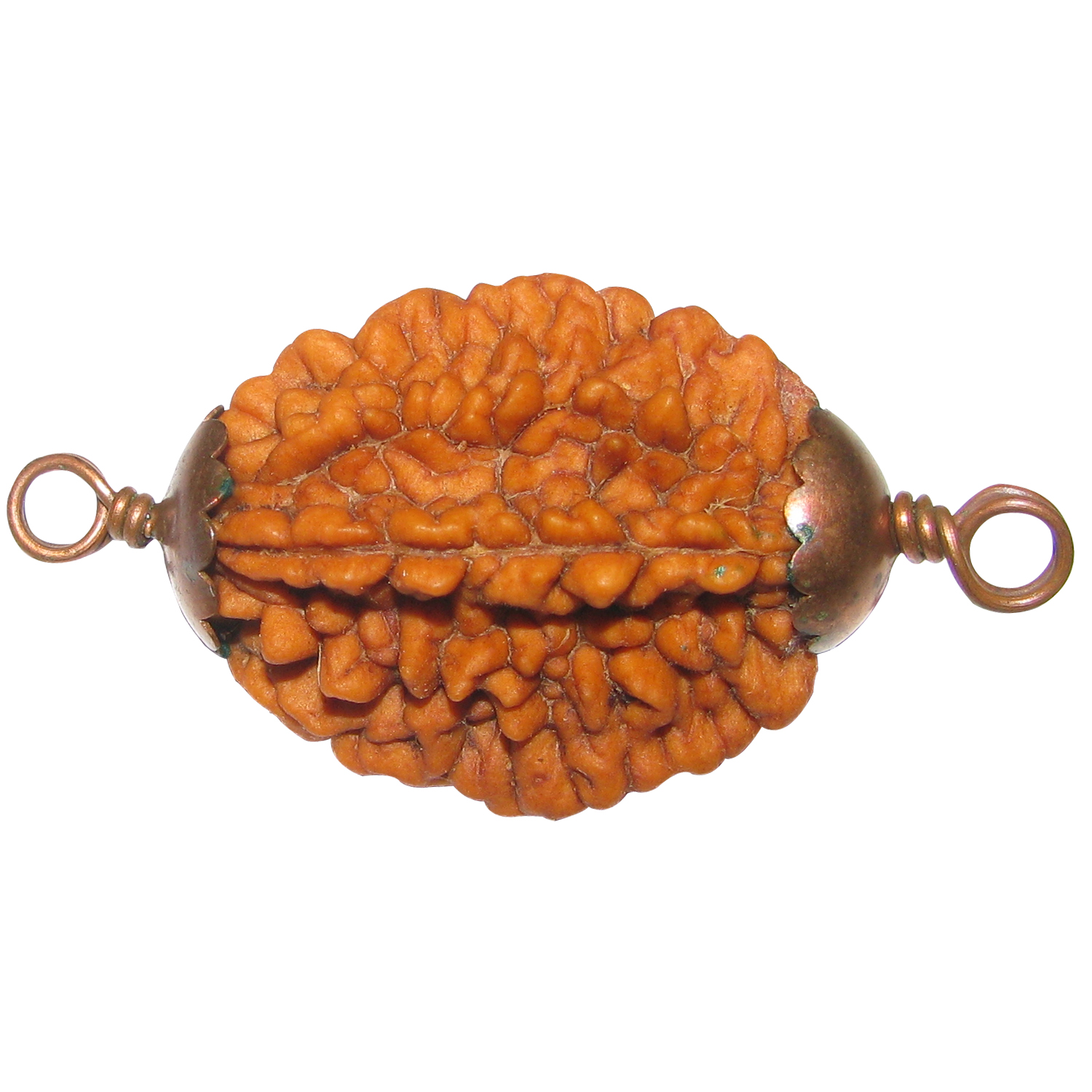 A1006-2C-Two-Mukhi-Rudraksha-2-Face-Do-Mukhi-Rudraksha-Copper-Pendant.jpg
