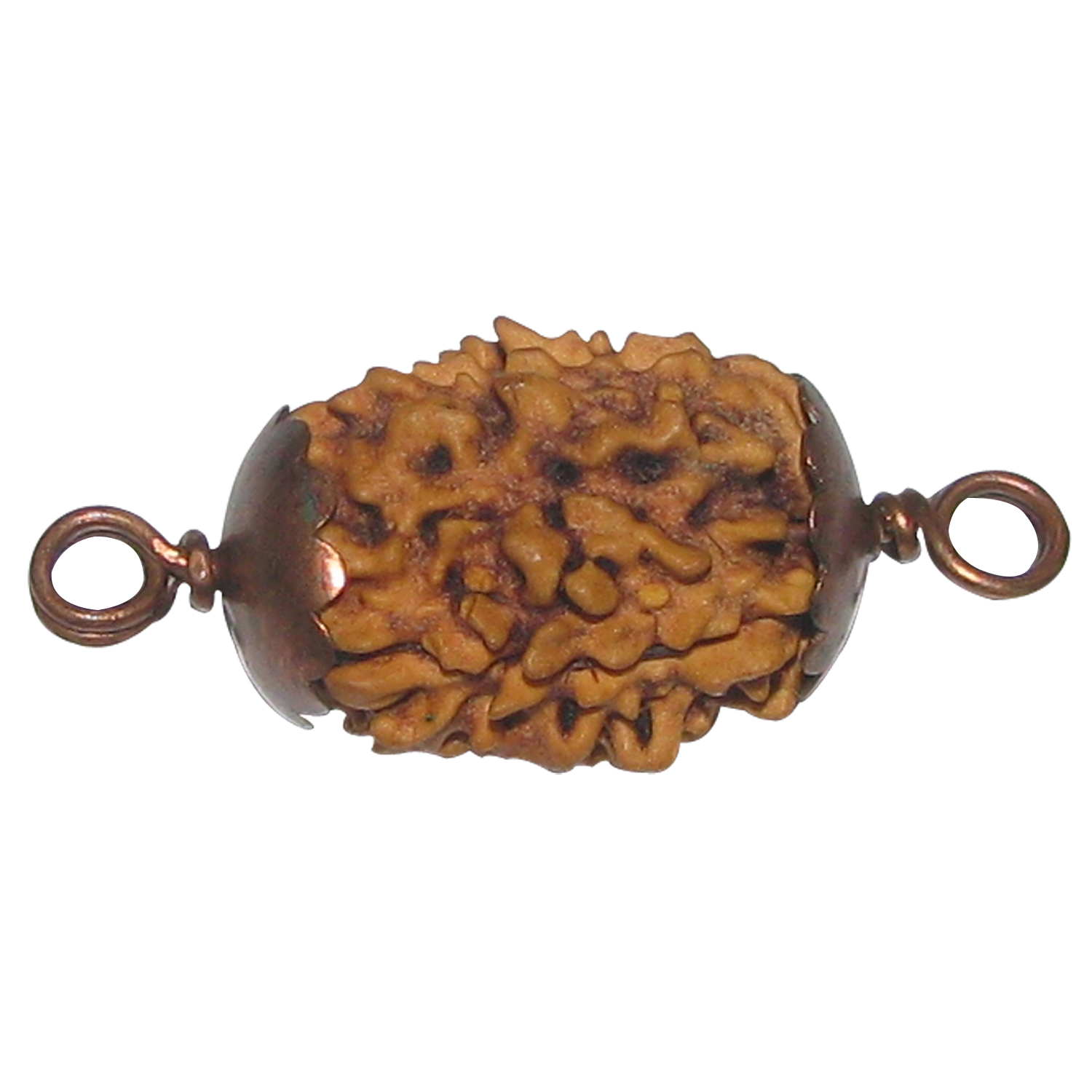 A1007-2C-Three-Mukhi-Rudraksha-Copper-Pendant.jpg