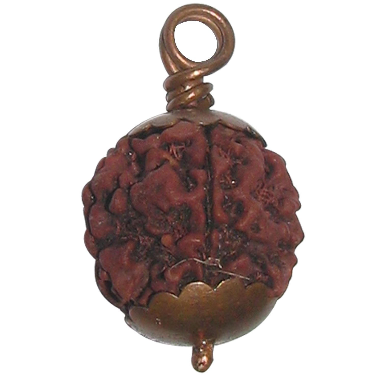 A1009-C-5-Mukhi-Rudraksha-Copper-Pendant.jpg