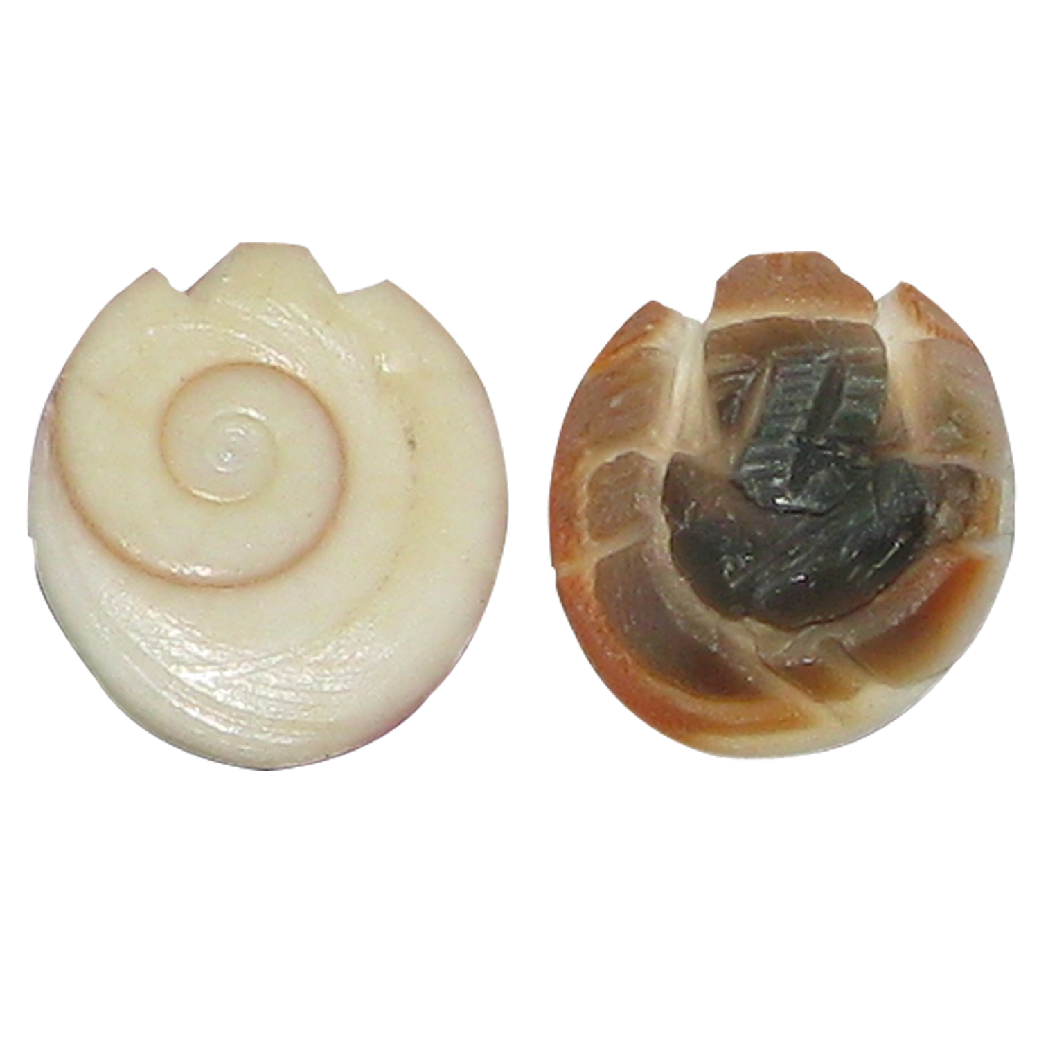 A4614-Ganesha-Carved-On-Natural-Gomti-Chakra-Shri-Chakra.jpg