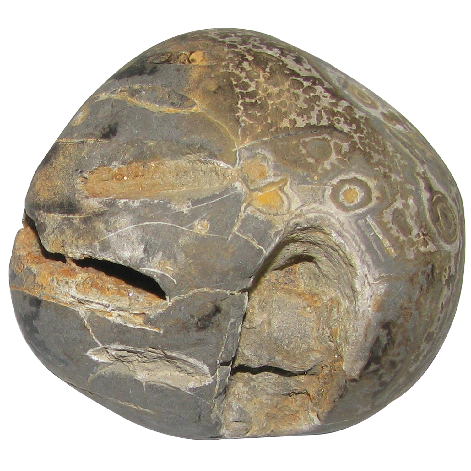 A5011-Sita-Rama-Lakshmana-Hanuma-Shaligram.jpg